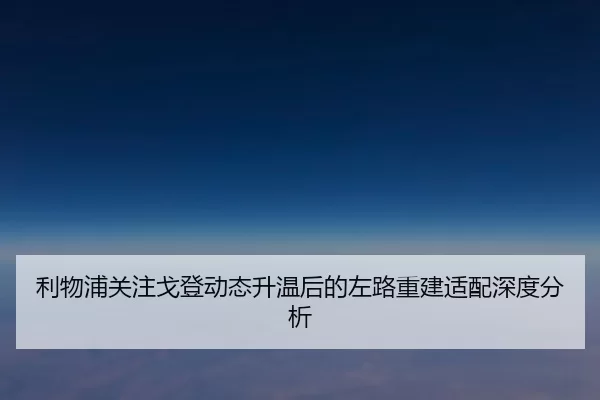 li-wu-pu-guan-zhu-ge-deng-dong-tai-sheng-wen-hou-de-zuo-lu-chong-jian-shi-pei-shen-du-fen-xi-2-919.jpg